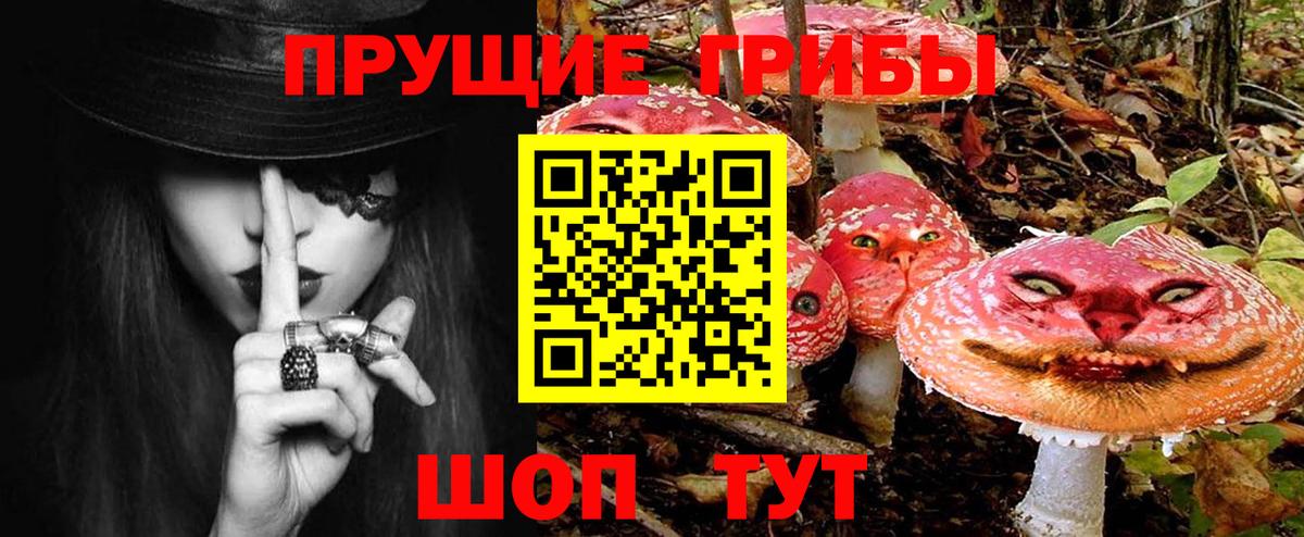 цены наркотик  Псилоцибиновые грибы мухоморы  Вход с VPN  Бахчисарай 
